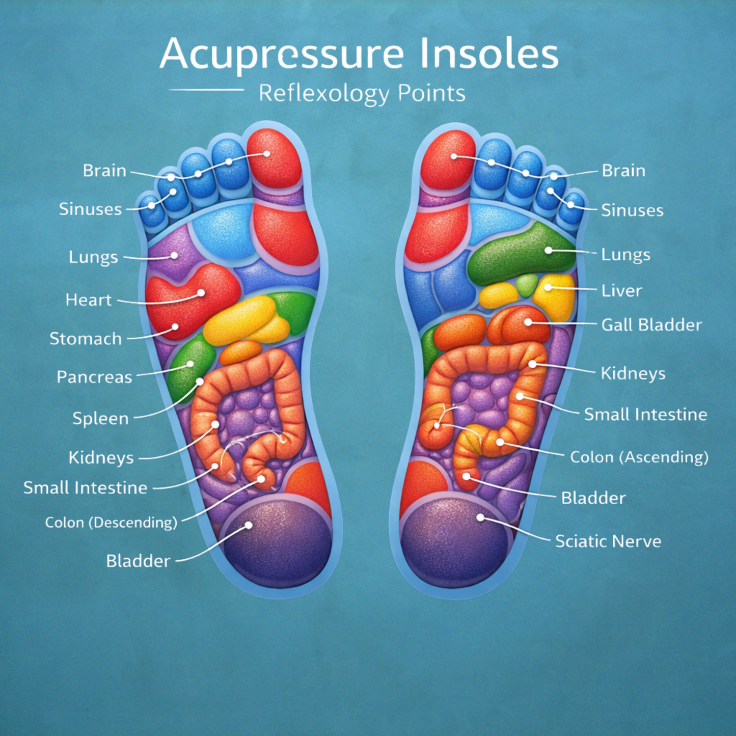 MagnaStep Pro™ – Magnetic Acupressure Massage Insoles